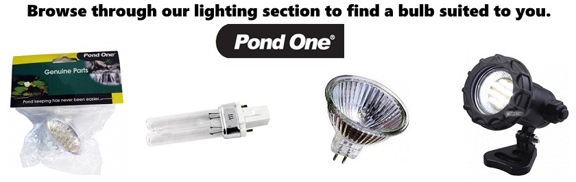 Pond One Lighting