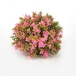 BiOrb Topiary Pink Flower  Ball Plant 46088