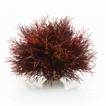 BiOrb Reef One Sea Lily Crimson 46077